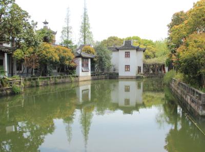 Img 8468 17251459721 O