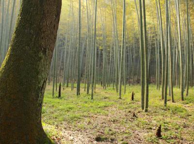 Img 8491 17252030215 O