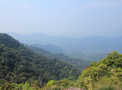 Img 8495 17252036845 O