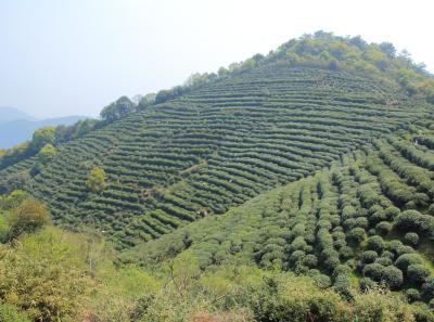 Img 8507 16629571124 O