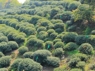 Img 8511 17044615727 O