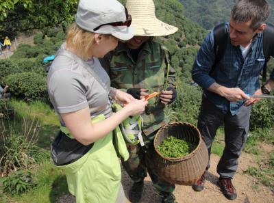 Img 8515 16631834873 O