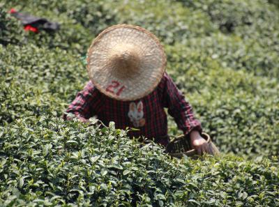 Img 8531 17250307702 O