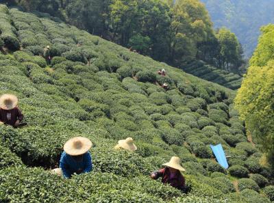 Img 8532 17065845059 O