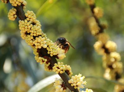 Img 8537 17064508190 O