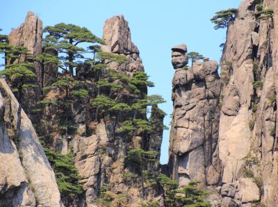 Img 8596 17064523480 O