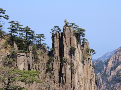 Img 8600 17044650707 O