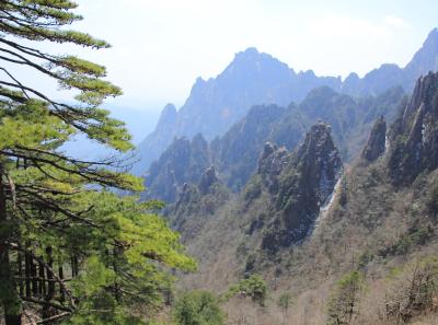 Img 8606 17065870129 O