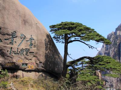 Img 8626 17044662187 O