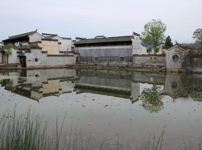 Img 8645 17064325838 O