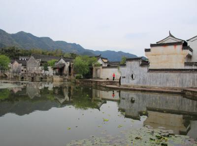 Img 8648 16631891143 O