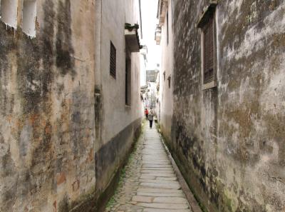 Img 8651 17065889769 O