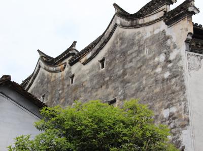 Img 8653 17065891299 O