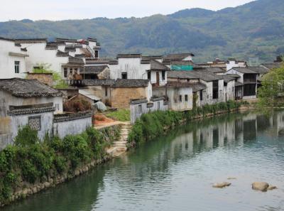 Img 8680 17065903499 O