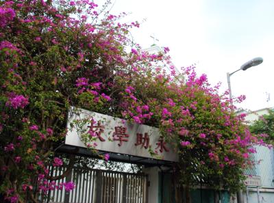 Img 7902 15730298272 O