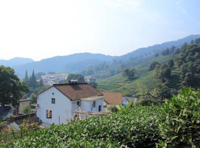 Img 8041 15108789084 O