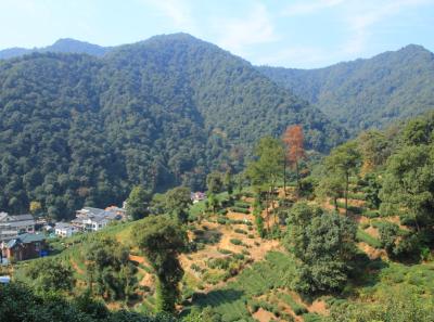 Img 8045 15730297842 O