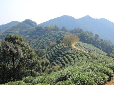 Img 8058 15543562597 O