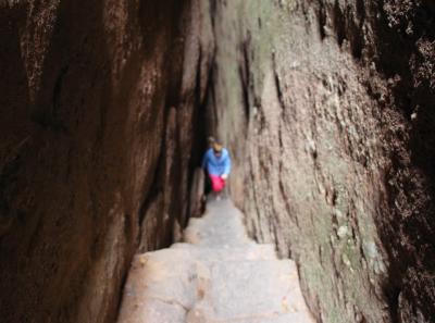 Img 8129 15543301688 O