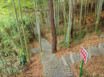 Img 8201 15543300888 O