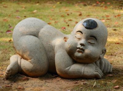 Img 8206 15108787694 O