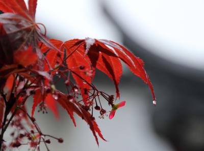 Img 7130 13935403891 O