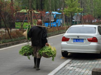 Img 7237 13935390962 O