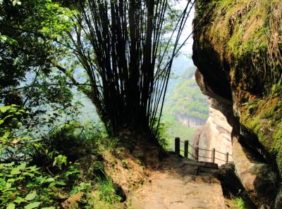 Img 7453 13958546473 O