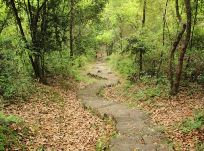 Img 7463 13935380712 O