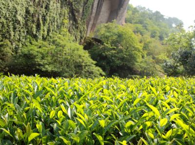 Img 7487 13935385591 O