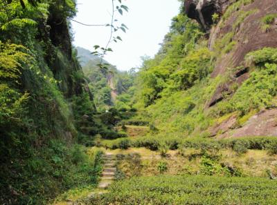 Img 7515 13958540973 O