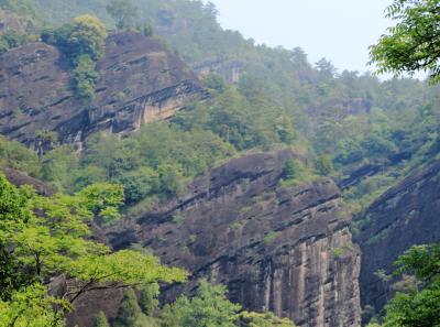 Img 7518 13958539863 O