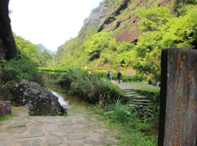 Img 7524 13958539473 O