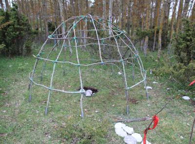 Img 2390 47941841476 O