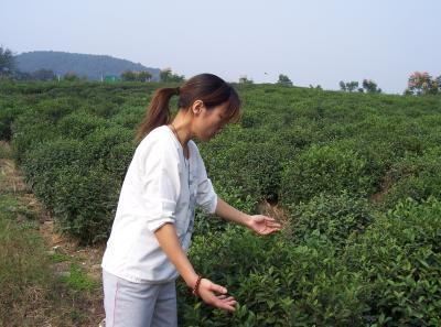 100 1846 14369984728 O