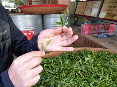 Imag0427 41573193901 O