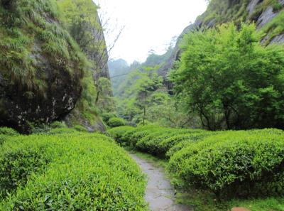 Img 0046 26047237854 O