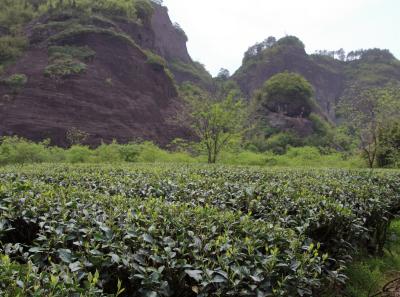 Img 1909 41532567332 O