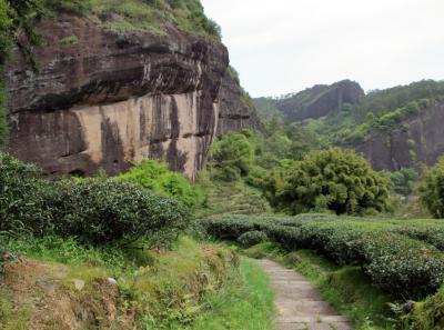 Img 1912 41532565252 O