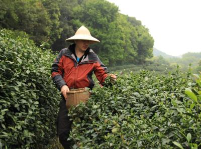 Img 7185 14369908140 O