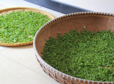 Img 7206 14369910870 O