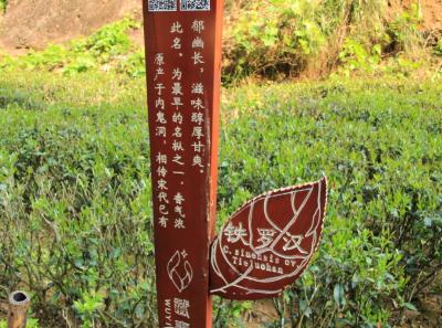 Img 7472 14369999078 O