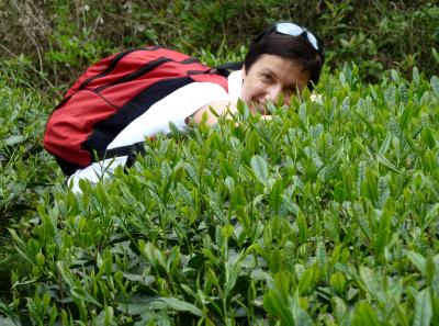 P1090637 14555031034 O