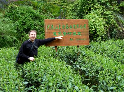 P1090696 14556640885 O