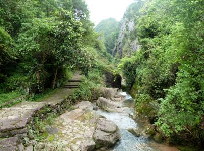 P1090724 14533554096 O