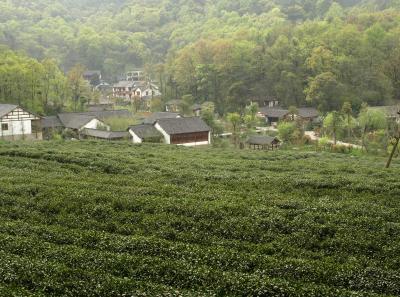 P4030875 14370073908 O