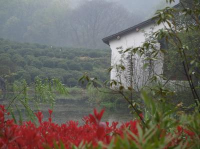 P4046109 14556682725 O