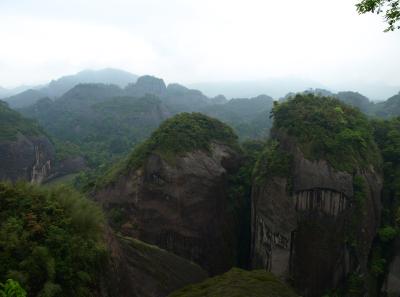 P4155902 14533608446 O