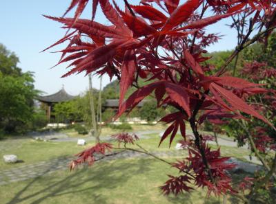 P4160902 14370031400 O