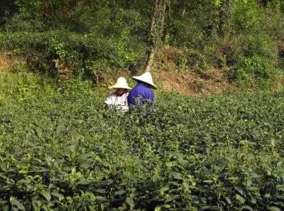 P4160915 14555122644 O